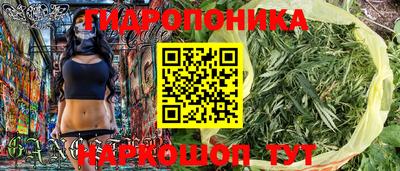 сатива Конаково