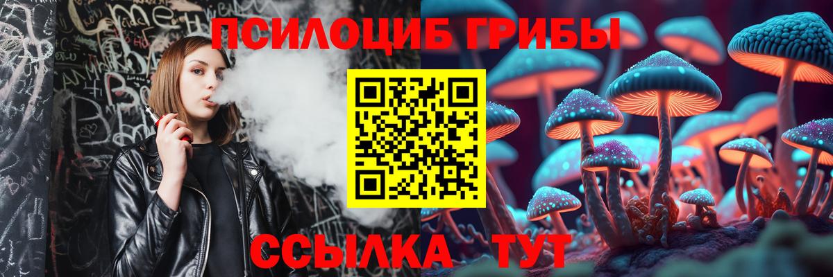 Киров  Псилоцибиновые грибы Psilocybe  Вход с VPN  Галлюциногенные грибы GOLDEN TEACHER 